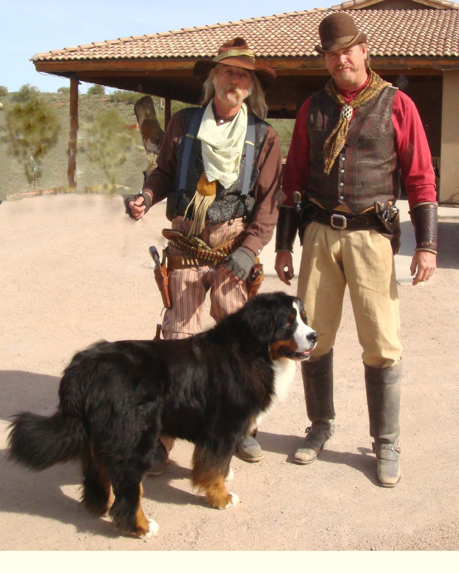 Bernese gunfighters
